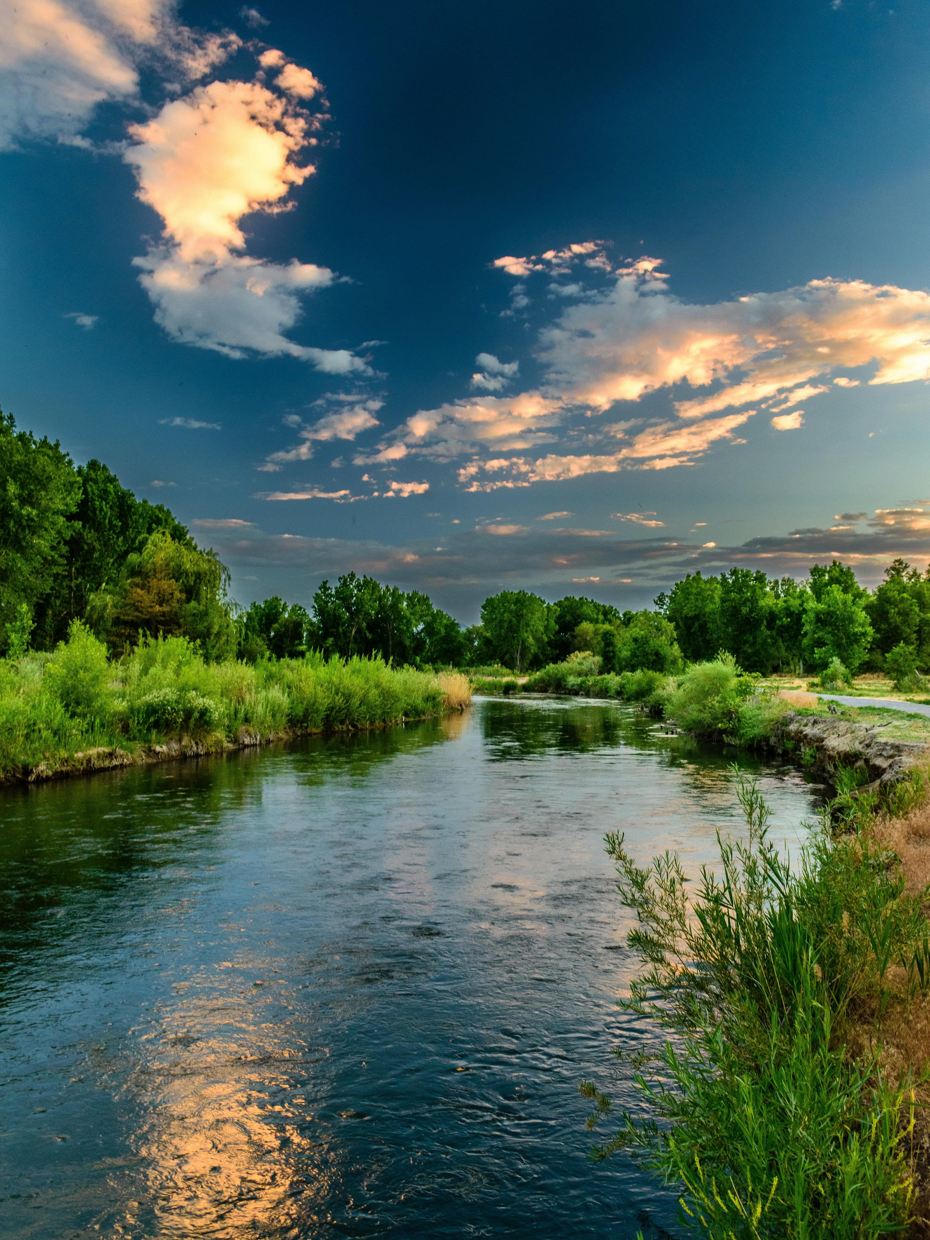 Online Monitoring Systems