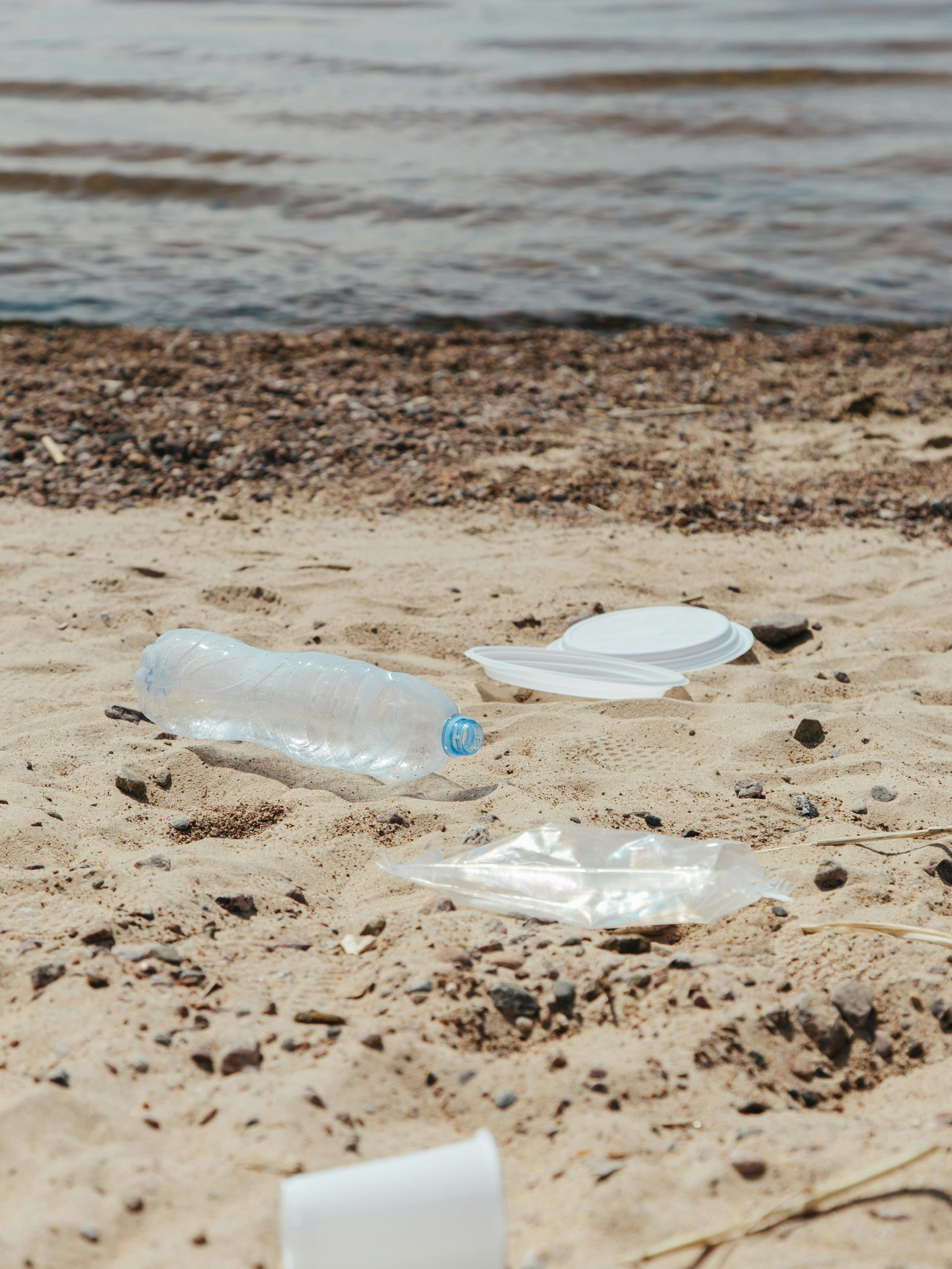 Risk Analysis Report