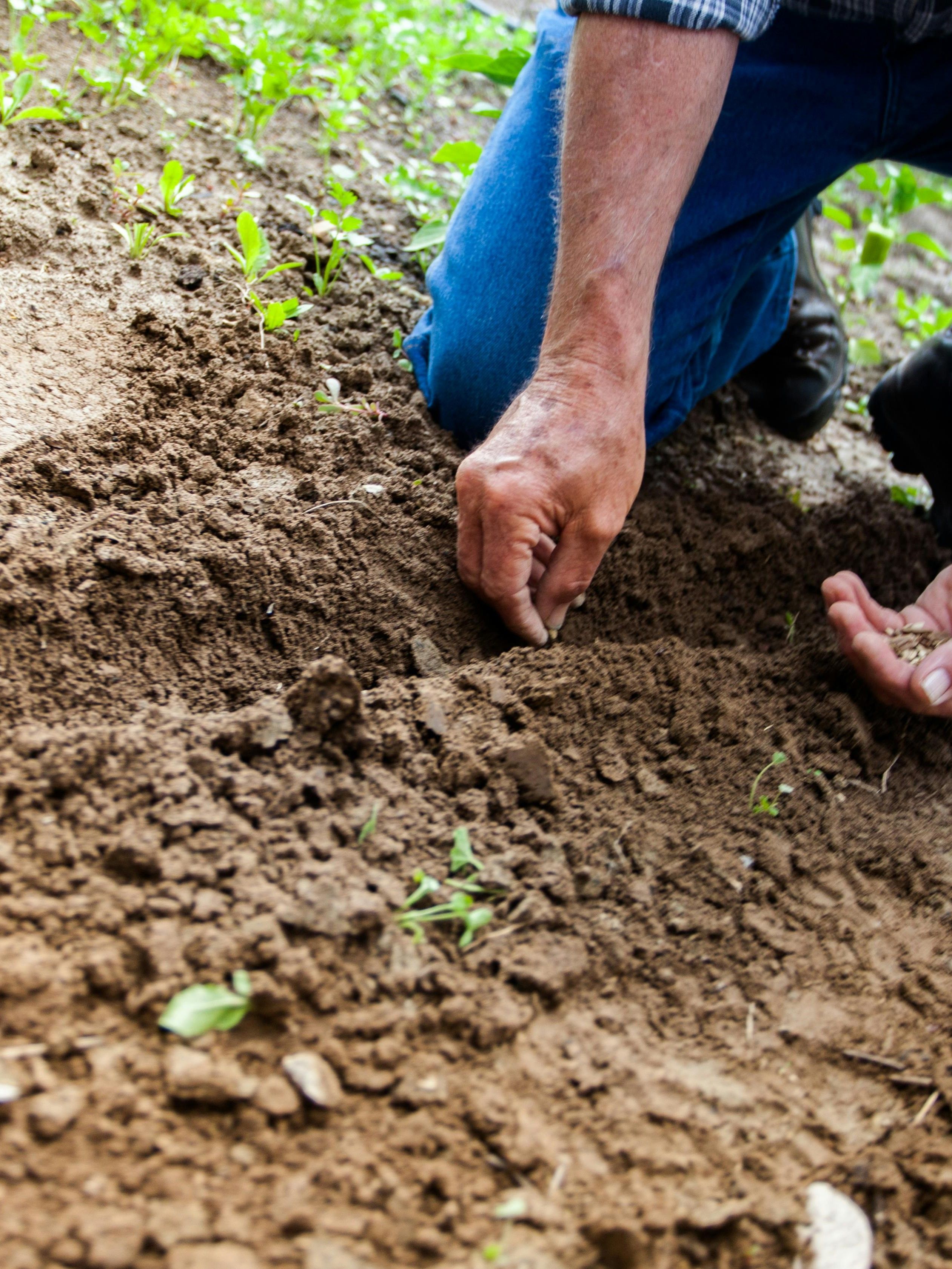 Solar Power Solutions