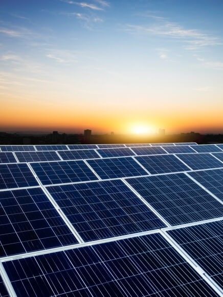 Disaster Action Plan & Management