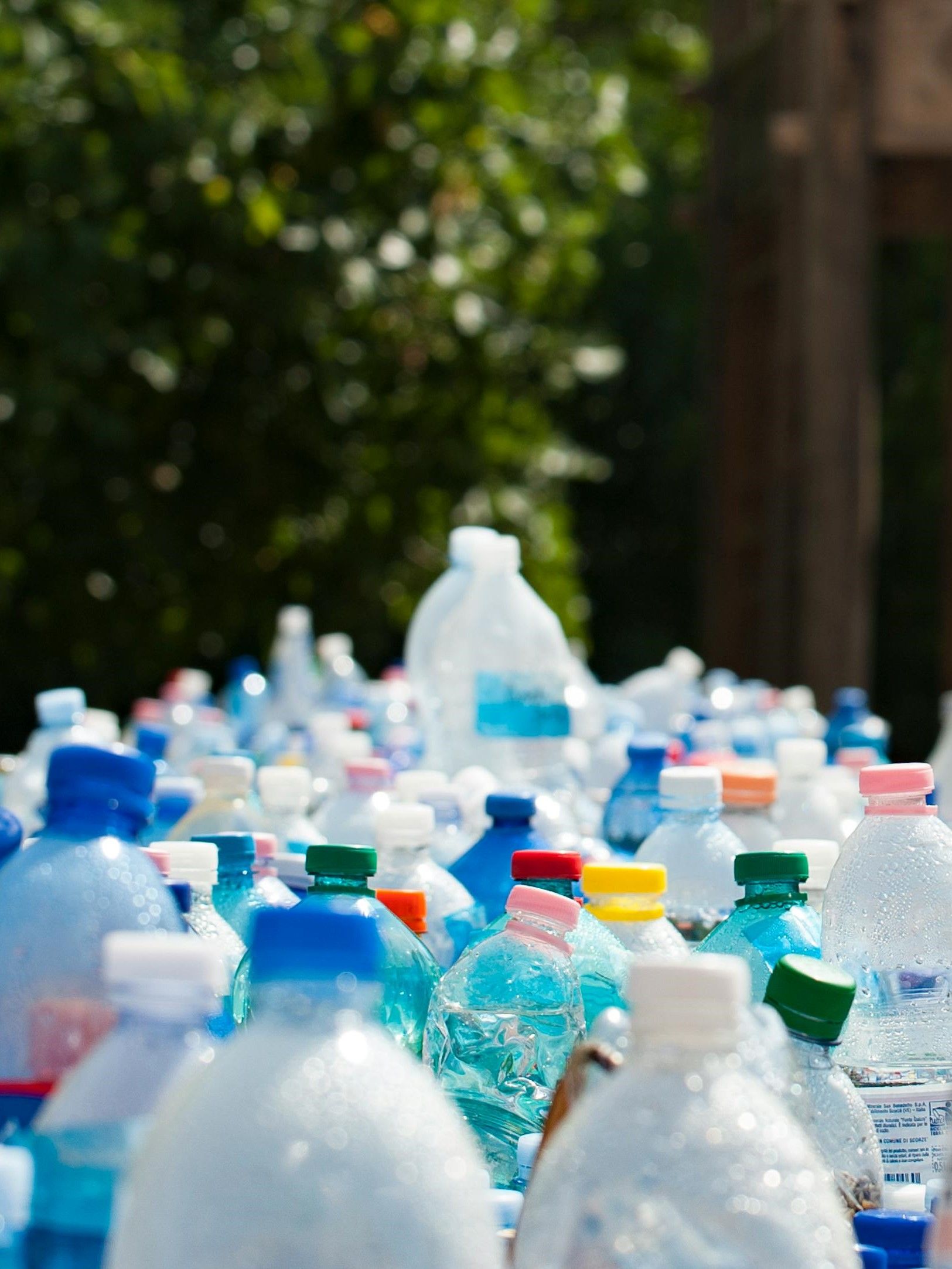 Environment Impact Assessment (EIA) Studies